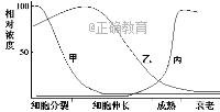 www.xiangpi.com