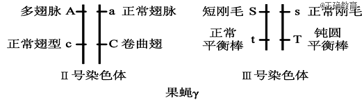 www.xiangpi.com