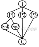 www.xiangpi.com