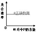 www.xiangpi.com
