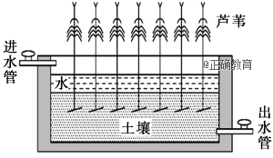 www.xiangpi.com