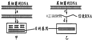 www.xiangpi.com