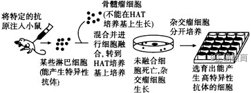 www.xiangpi.com