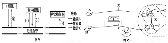 www.xiangpi.com