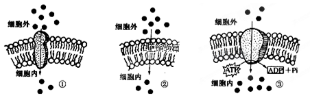 www.xiangpi.com