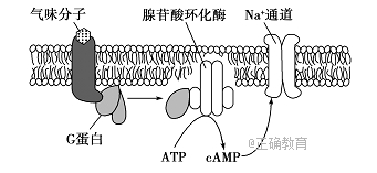 www.xiangpi.com