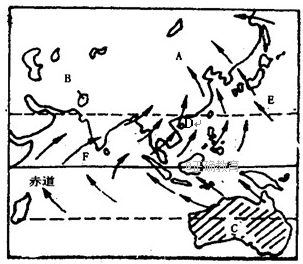 www.xiangpi.com