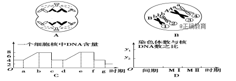 www.xiangpi.com