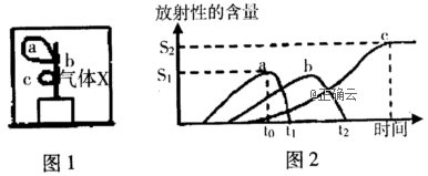 www.xiangpi.com