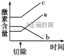 www.xiangpi.com