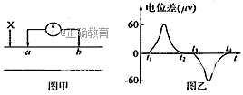 www.xiangpi.com