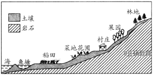 www.xiangpi.com