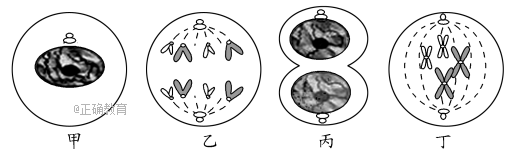 www.xiangpi.com