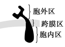 www.xiangpi.com