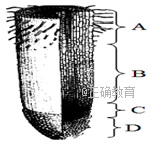 www.xiangpi.com