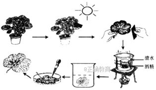 www.xiangpi.com