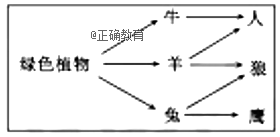 www.xiangpi.com