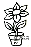 www.xiangpi.com