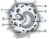 www.xiangpi.com