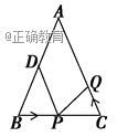 www.xiangpi.com