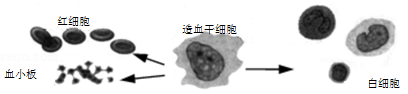 www.xiangpi.com