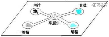 www.xiangpi.com