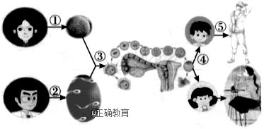 www.xiangpi.com