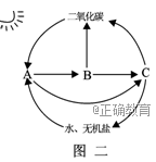 www.xiangpi.com