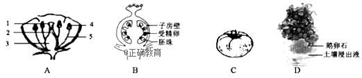 www.xiangpi.com
