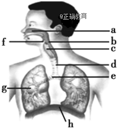 www.xiangpi.com