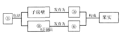 www.xiangpi.com