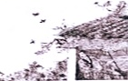 www.xiangpi.com