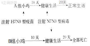 www.xiangpi.com