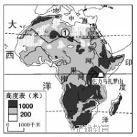 www.xiangpi.com