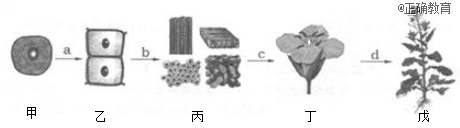www.xiangpi.com
