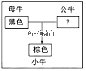 www.xiangpi.com