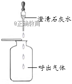 www.xiangpi.com