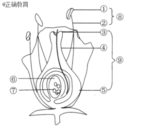 www.xiangpi.com
