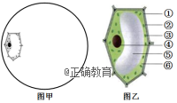 www.xiangpi.com