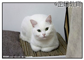 www.xiangpi.com