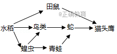 www.xiangpi.com