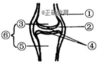 www.xiangpi.com