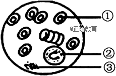 www.xiangpi.com