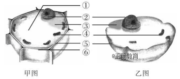 www.xiangpi.com