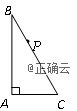www.xiangpi.com