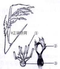 www.xiangpi.com