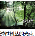 www.xiangpi.com