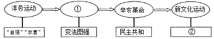 www.xiangpi.com