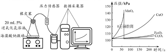 www.xiangpi.com