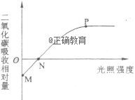 www.xiangpi.com